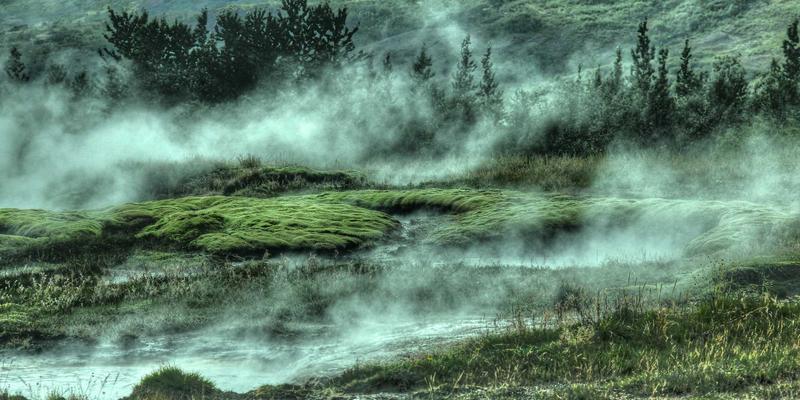 2024年开发者必备:精选编程资源、实战开发教程与活跃学习社区全指南