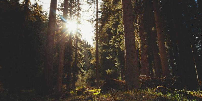 5G核心网架构开发教程：从NSA到SA演进的关键技术与实战工具分享