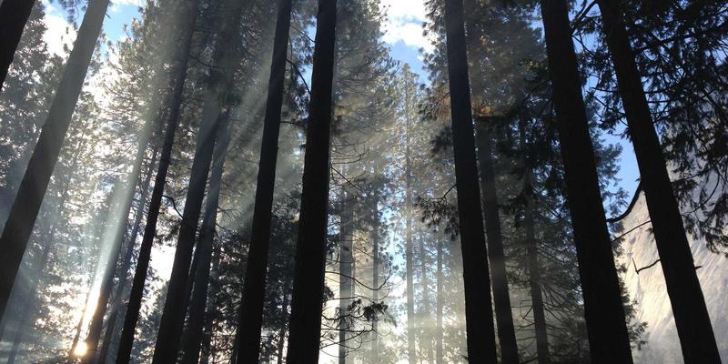 SD-WAN实战指南：多云环境下的企业分支网络优化与成本控制