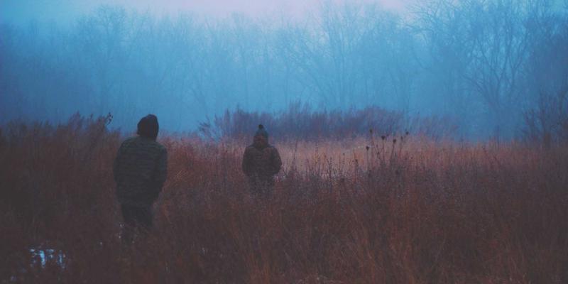 企业网络升级指南：利用软件工具与编程资源实现IPv6平滑过渡