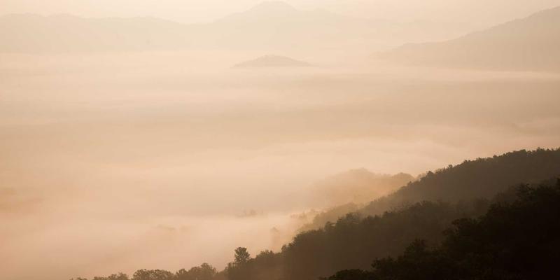 掌握工业未来：TSN时间敏感网络在自动化中的实时通信原理与实战工具