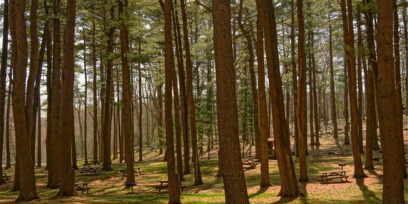 确定性网络技术：从理论到实践，如何保障工业控制与远程医疗的极致时延