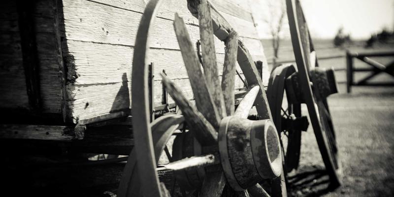 网络性能监控与故障诊断自动化：开发教程与技术分享