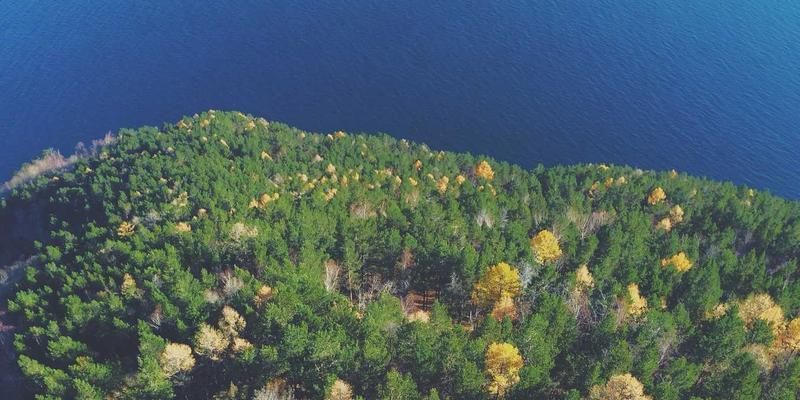 网络技术11:从工具选型到实战开发的全栈技术分享