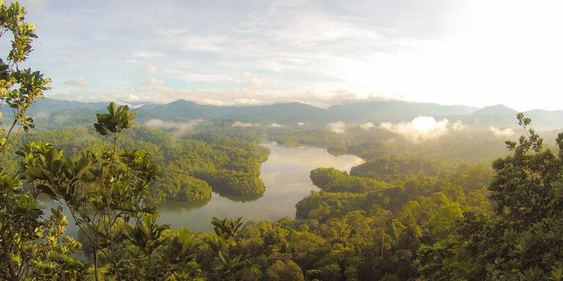 网络技术24：从学习社区到开发教程的编程资源全攻略