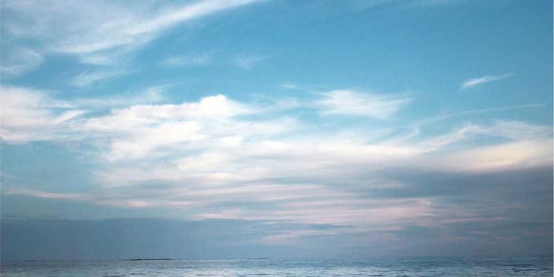 网络技术29:构建高效开发者生态的学习社区、软件工具与开发教程全解析