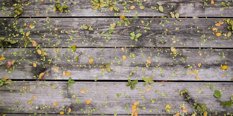 网络技术33：编程资源、软件工具与开发教程全攻略