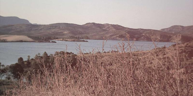 网络技术57:现代软件工具如何重塑技术分享与协作生态