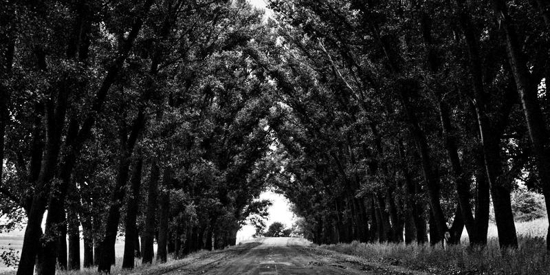 网络技术59：软件工具、学习社区与开发教程的黄金三角