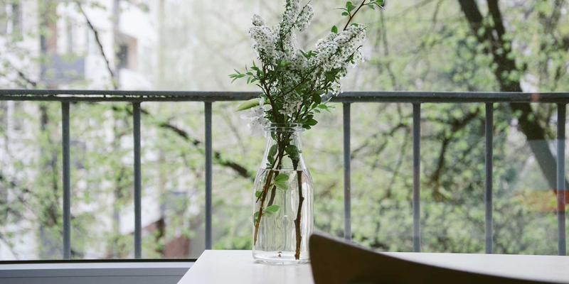 网络技术69：技术分享、学习社区与软件工具如何重塑数字时代的学习生态