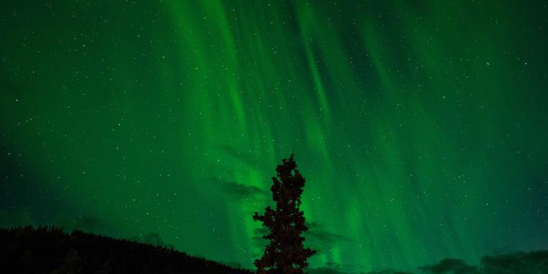 网络技术72:从基础架构到开发实战的技术分享与教程