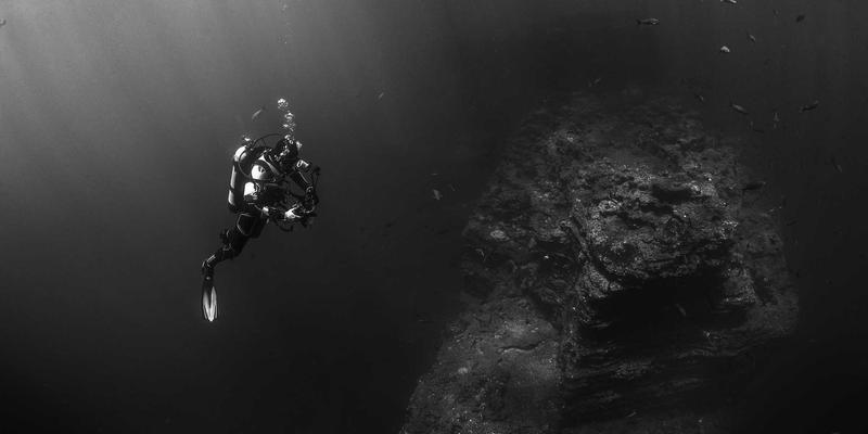 网络技术入门指南:掌握核心软件工具与编程资源