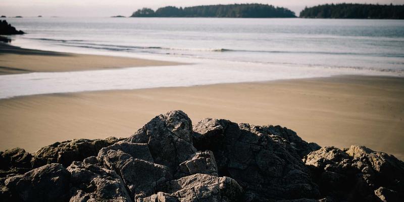 网络技术深度解析：SD-WAN与传统MPLS的对比分析与选型指南