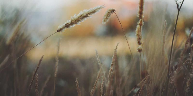 网络遥测技术实战：利用INT与eBPF构建下一代可观测性运维体系