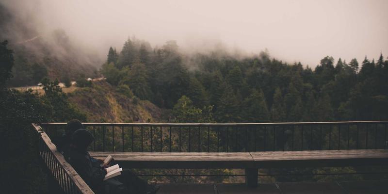 解锁网络技术优势：软件工具、学习社区与开发教程如何重塑开发者成长路径