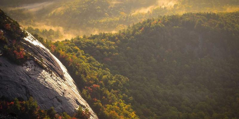 零信任网络架构（ZTNA）实战指南：从网络技术到企业安全建设的开发教程与学习社区分享