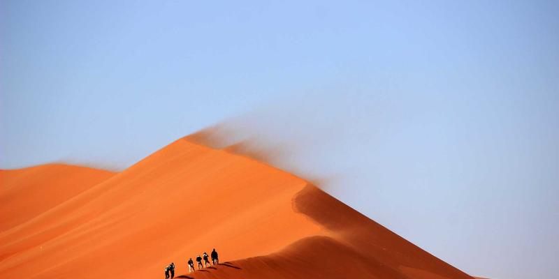 零信任网络架构（ZTNA）实施路径：从开发教程到技术分享的现代安全模型